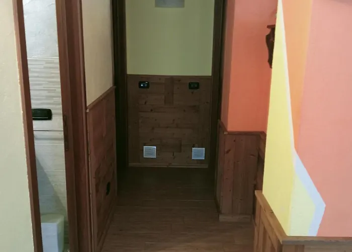 Biolley مورجيكس